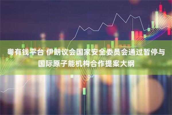 粤有钱平台 伊朗议会国家安全委员会通过暂停与国际原子能机构合作提案大纲