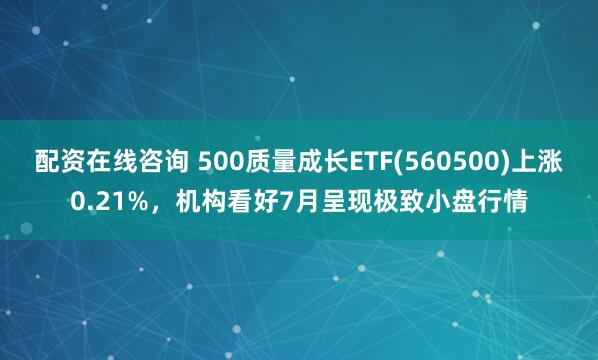 配资在线咨询 500质量成长ETF(560500)上涨0.21%，机构看好7月呈现极致小盘行情