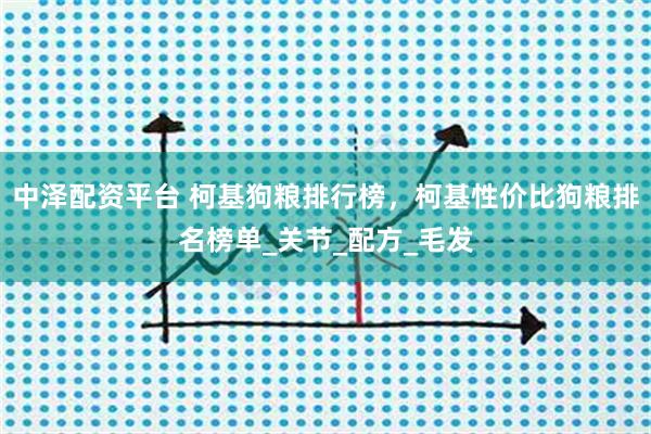 中泽配资平台 柯基狗粮排行榜,柯基性价比狗粮排名榜单_关节_配方_毛发