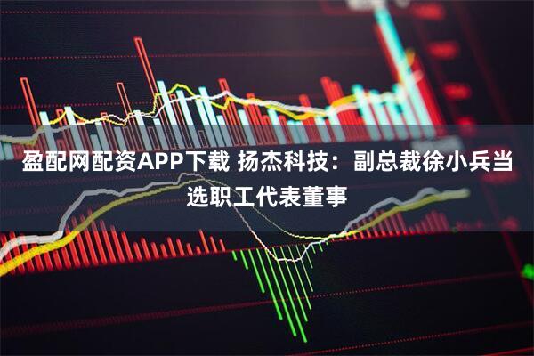 盈配网配资APP下载 扬杰科技：副总裁徐小兵当选职工代表董事